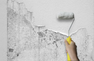 外壁塗装が劣化しているサインとは？塗装が必要な症状を簡単解説